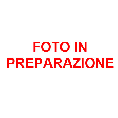 Foto in preparazione Foto in preparazione